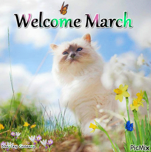March - Free animated GIF