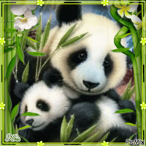 Bébé panda et fleurs - Free animated GIF