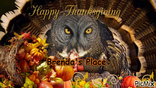 THANKSGIVING OWL - png gratuito