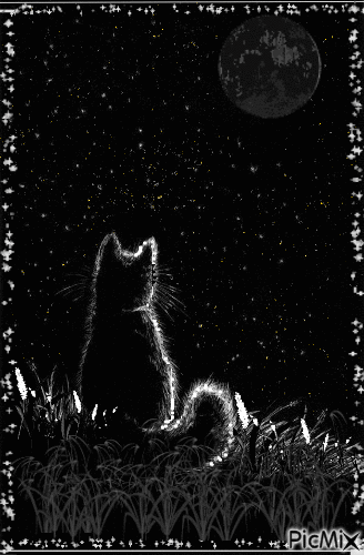 Luna y gato. - Безплатен анимиран GIF