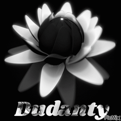 dudanty - GIF animate gratis
