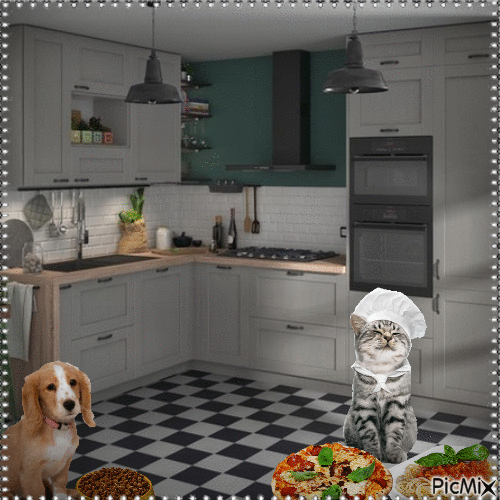 That Cat Can Cook LOL - Gratis animeret GIF