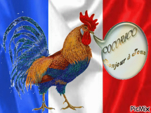 drapeau coq francais - GIF animado grátis