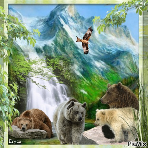 Ours en montagne - PNG gratuit