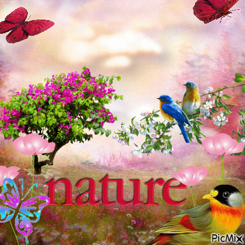 la nature - Darmowy animowany GIF
