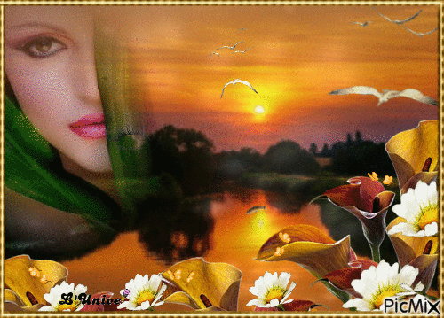 visage femme sur coucher de soleil - Ingyenes animált GIF
