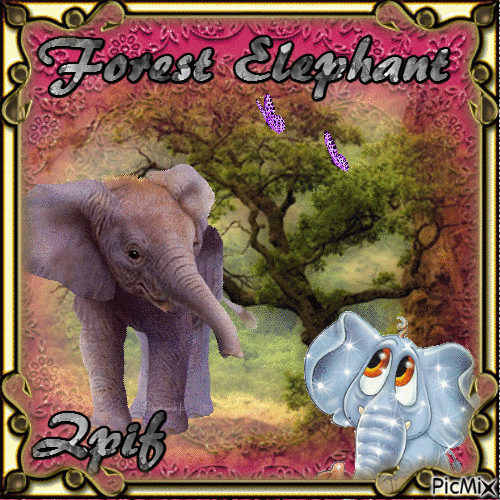 Forest Elephant - GIF animado gratis