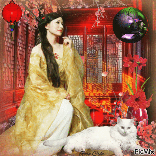 Concours : Beauté orientale et chat blanc - Gratis animerad GIF