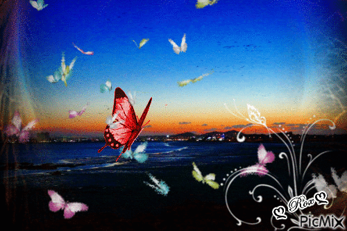 Farfalle - 免费动画 GIF