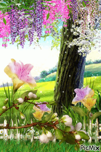 Springtime - Zdarma animovaný GIF