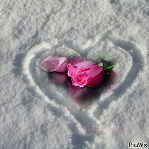 Καρδιά στο χιόνι - png ฟรี