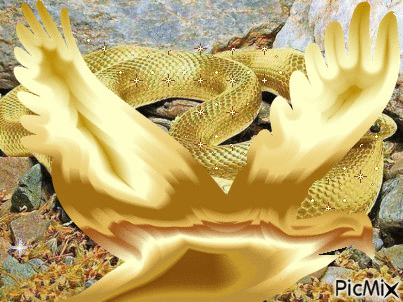 Astutos como serpientes, mansos como palomas - Безплатен анимиран GIF