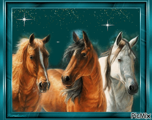 Horse, my friend. - GIF animé gratuit