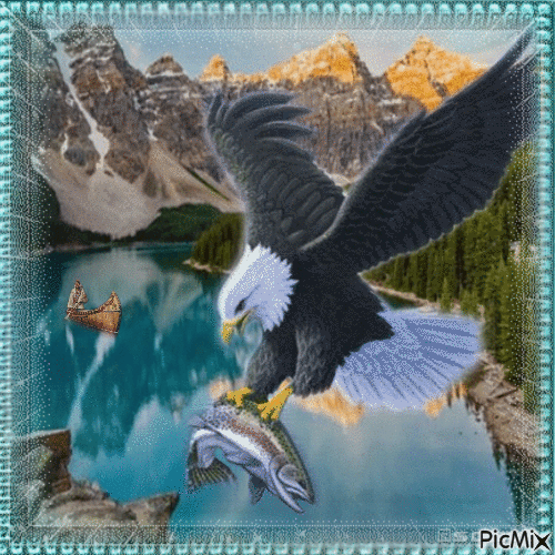 Adler mit Fisch - GIF animé gratuit