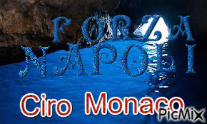 Forza Napoli - Безплатен анимиран GIF