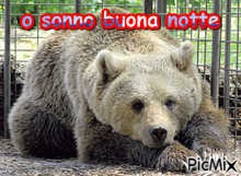 o sonno - 無料png