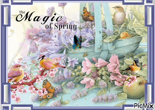 the magic of spring - Бесплатный анимированный гифка