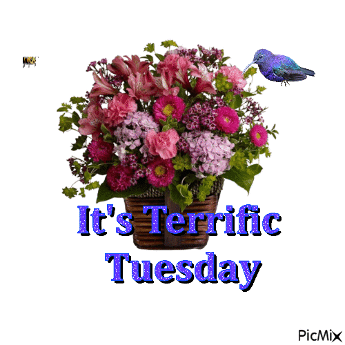 Terrific Tuesday - Bezmaksas animēts GIF