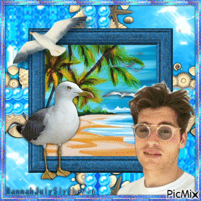 {☼}Seagulls at the Beach with Gregg Sulkin{☼} - Free animated GIF