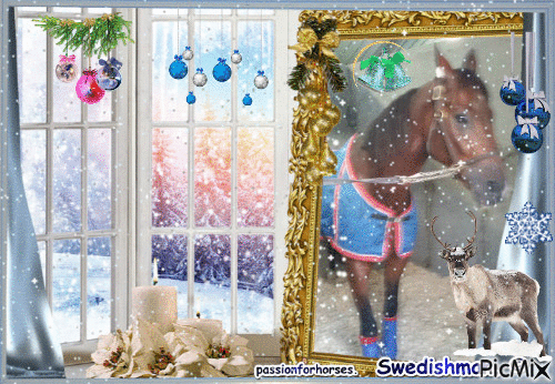 Le champion Swedishman. © - GIF animate gratis
