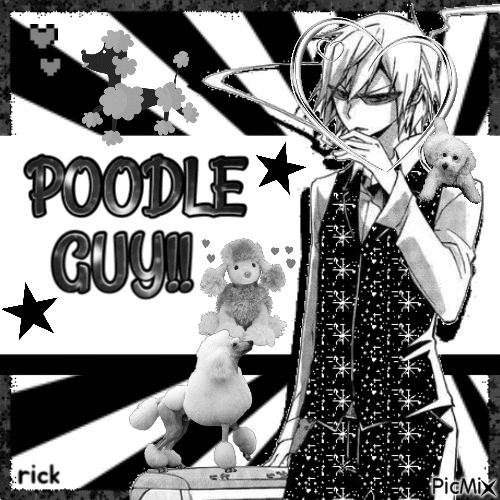 poodle guy shizuo - Gratis animeret GIF