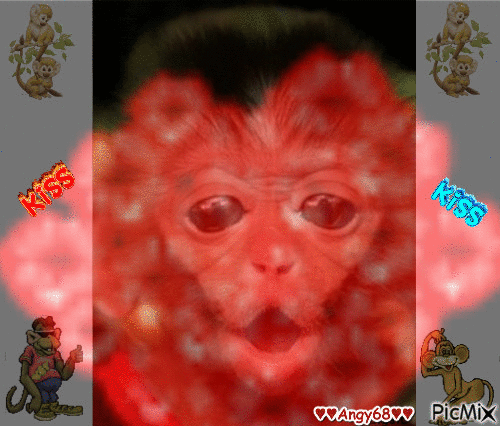 baci scimmiette - GIF animé gratuit