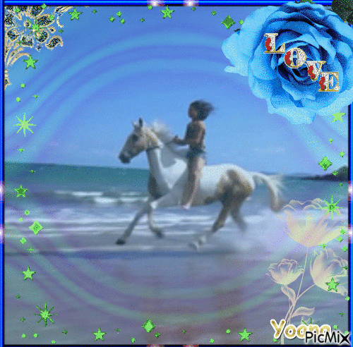 Paseando a la orilla del mar a caballo!!! - GIF animate gratis
