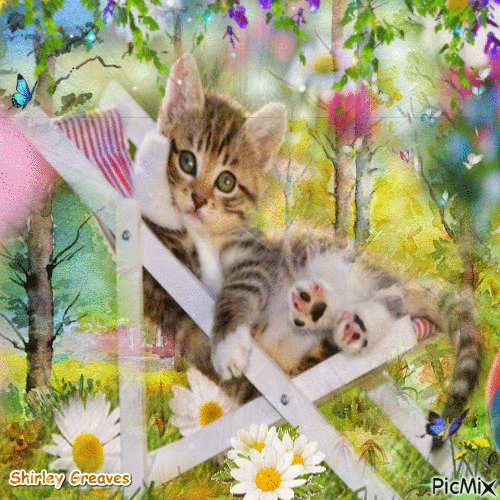 Deckchair cat - Ingyenes animált GIF