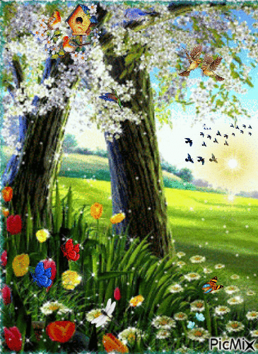 Primavera - Free animated GIF