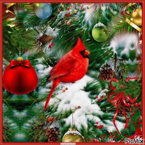 Weihnachts Kardinal Vogel - Gratis geanimeerde GIF