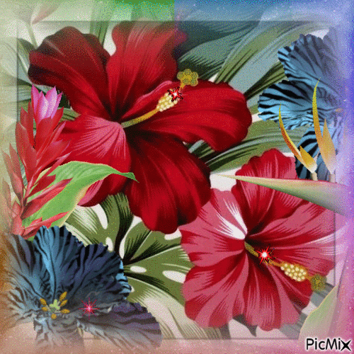 Exotische Blumen - Δωρεάν κινούμενο GIF