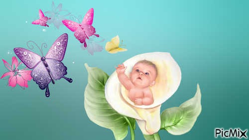 baby butterfly - besplatni png
