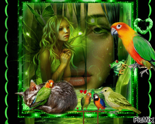 green LAdy n parrot - Free animated GIF
