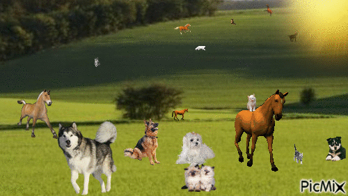 la plaine des animaux - 無料のアニメーション GIF