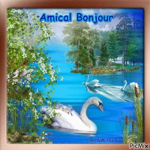 Amical Bonjour - Free animated GIF