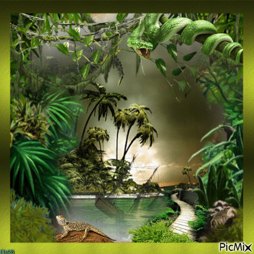In the Jungle - Free animated GIF