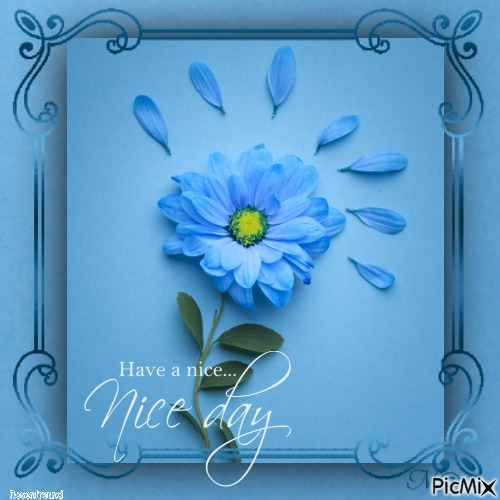 Have a nice day - gratis png