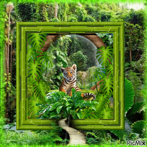 Mein kleiner Tiger - Bezmaksas animēts GIF