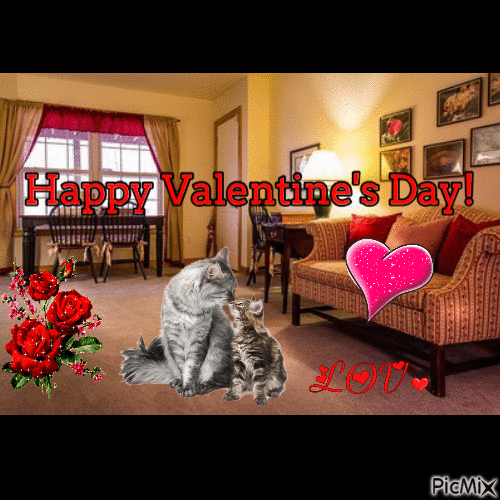Valentine's Day cats - Animovaný GIF zadarmo