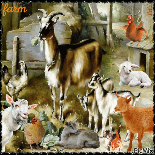 Goat Farm. - 免费动画 GIF