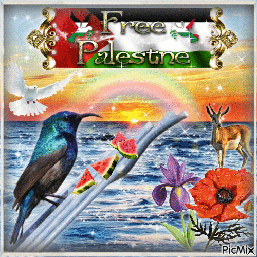 palestine - Zdarma animovaný GIF