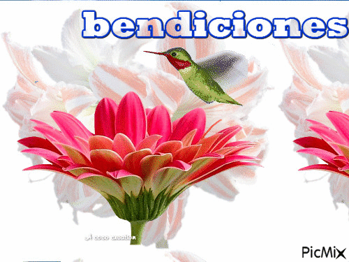 bendiciones - Бесплатный анимированный гифка