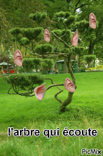 l'arbre - Darmowy animowany GIF
