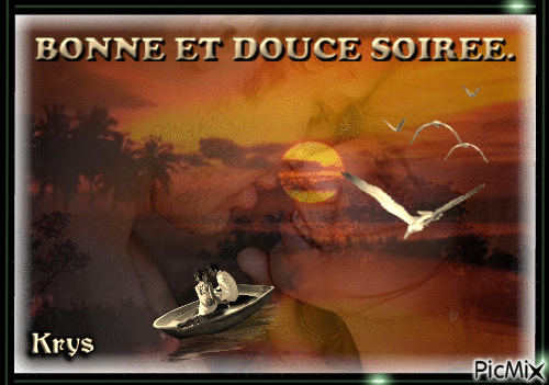 BONNE SOIRE 25 04 - Zdarma animovaný GIF