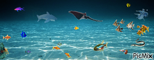 Au fond de l'ocean - GIF animado grátis