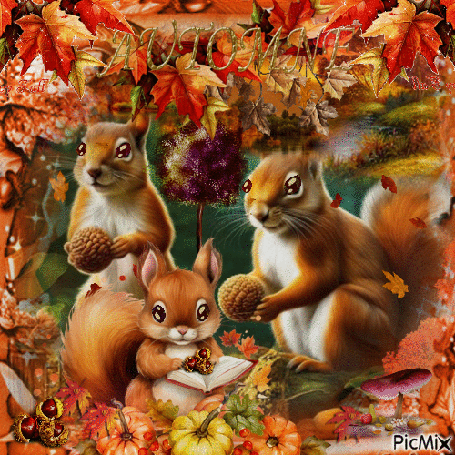 Ardillas en otoño - Gratis animeret GIF