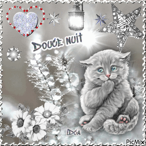 Bonne nuitr les chatons - Ingyenes animált GIF