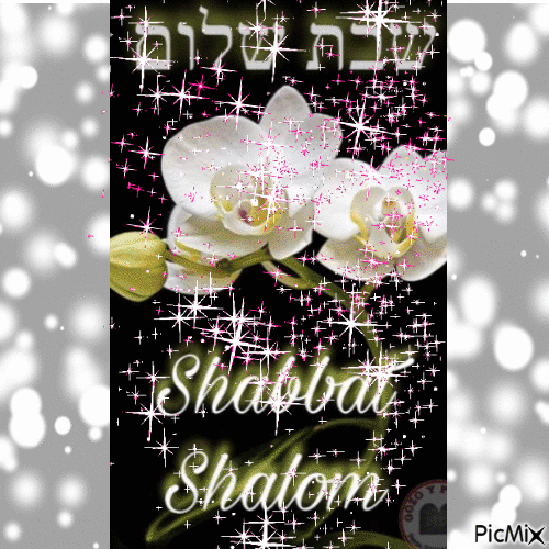 Shabbat Shalom - GIF animasi gratis