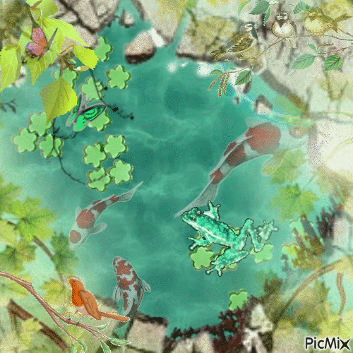 Pond life - Free animated GIF