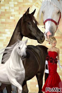 la femme et cet chevaux - δωρεάν png